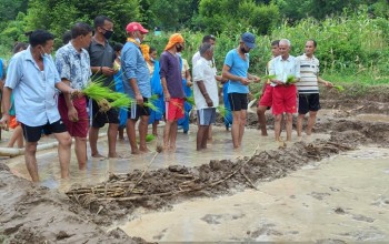 बैतडीको तिरखडेनीमा नेपाल र भारतका जनप्रतिनिधिको सहभागितामा रोपाँई 